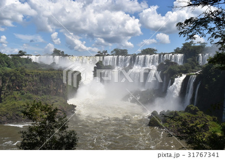 イグアスの滝 イグアスの滝 31767341