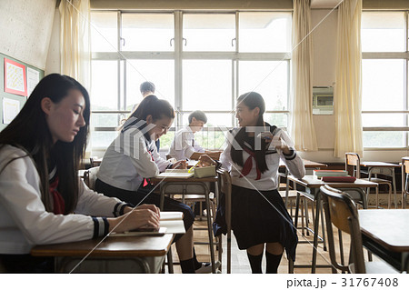 昼休みに自習をする女子高生 昼休みに自習をする女子高生 31767408