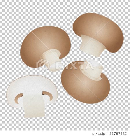 Brown mushroom 31767582