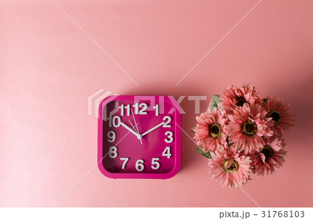 Clock and Gerbera flower on pink background Clock and Gerbera flower on pink background 31768103