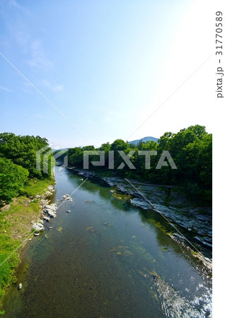 長瀞渓谷の清流 俯瞰で見る新緑と岩肌 金石水管橋上右岸から上流方向 タテ 長瀞渓谷の清流 俯瞰で見る新緑と岩肌 金石水管橋上右岸から上流方向 タテ 31770589