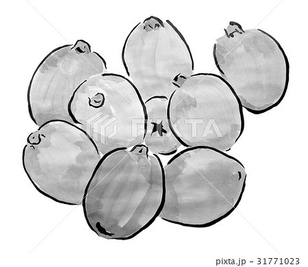 びわ 水墨画のくだもの のイラスト素材