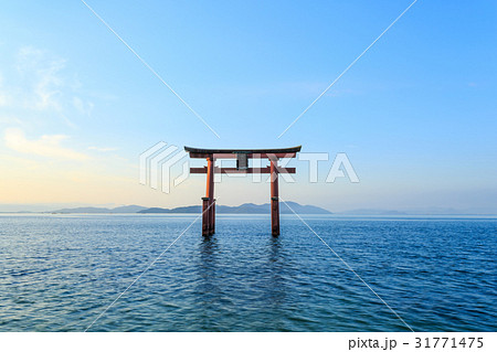 琵琶湖の朝 琵琶湖の朝 31771475