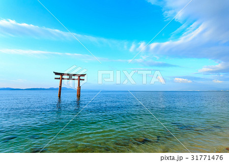 琵琶湖の朝 琵琶湖の朝 31771476