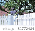 Lavender 02 31772484