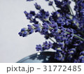 Lavender 03 31772485