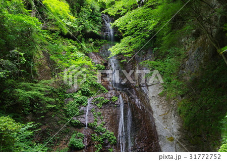 閑定の滝 31772752