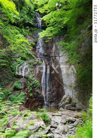 閑定の滝 31772755