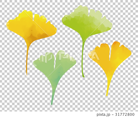 水彩画風イチョウの葉のイラスト素材