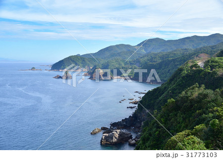妙見浦のゾウさん岩 妙見浦のゾウさん岩 31773103