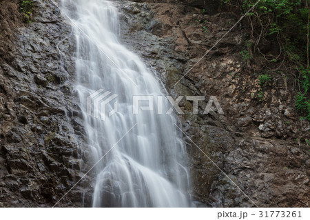 Montezuma waterfall in Costa Rica 31773261
