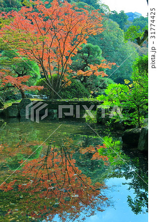九州 福岡県 福岡市 観光地 友泉亭公園 日本式庭園 九州 福岡県 福岡市 観光地 友泉亭公園 日本式庭園 31774425