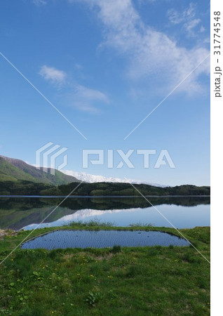 信州の湖　安曇野の北端　青木湖　早春の水田と白馬連峰　仁科三湖のいちばん北の湖　透明度高く深い 31774548