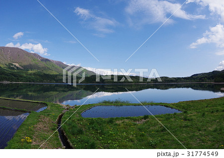 信州の湖　安曇野の北端　青木湖　早春の水田と白馬連峰　仁科三湖のいちばん北の湖　透明度高く深い 31774549