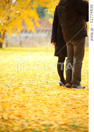 カップル　デート　足元　あしもと　イチョウ　銀杏　絨毯　じゅうたん 31774836