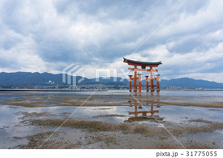 干潮時の宮島 干潮時の宮島 31775055