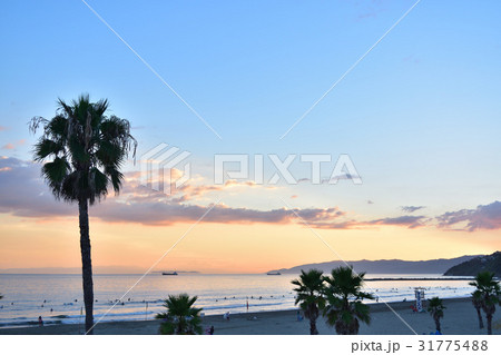 サーフスポット・磯ノ浦のサンセット 31775488