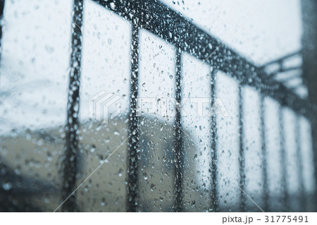 雨　窓ガラス 31775491