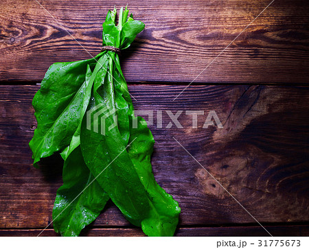 Green sorrel on a brown wooden background 31775673