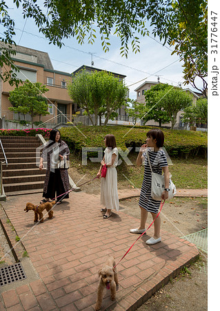 公園で遊ぶ人々 公園で遊ぶ人々 31776447