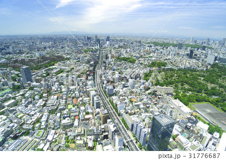 東京都市風景　六本木から望む都心全景　新宿　渋谷　緑 31776687