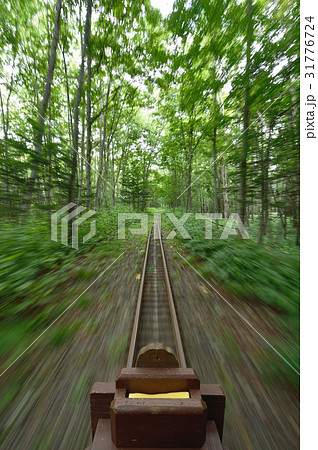 森を走るトロッコ 31776724