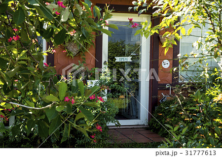 庭 庭園 ガーデン 31777613