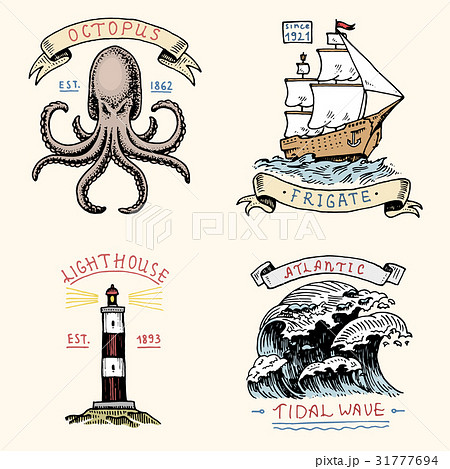 set of engraved vintage, hand drawn, old, labels 31777694