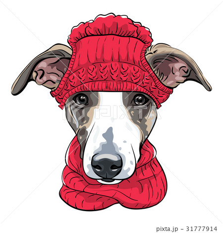 Vector Italian Greyhound Dog breed 31777914