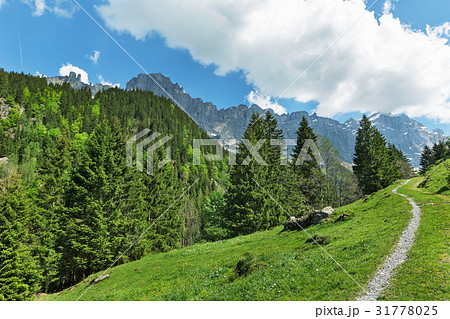 road against the background of mountains road against the background of mountains 31778025