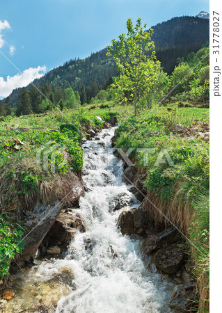 Mountain river in the Alps 31778027