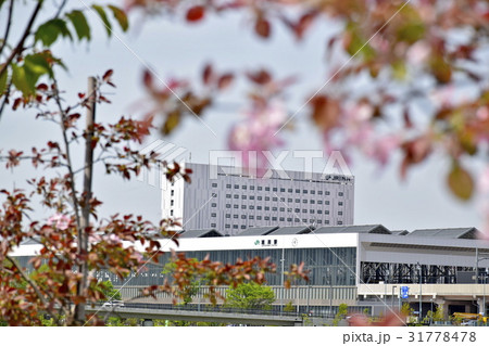 5月の旭川駅 31778478