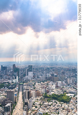 《東京都》雨上がりの都市風景《梅雨》 31779030