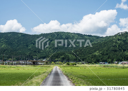 田園の道 31780845
