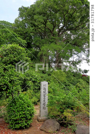 川越城富士見櫓跡 31781798