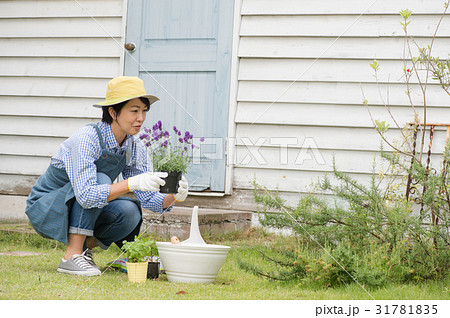 ガーデニングを楽しむ女性 31781835