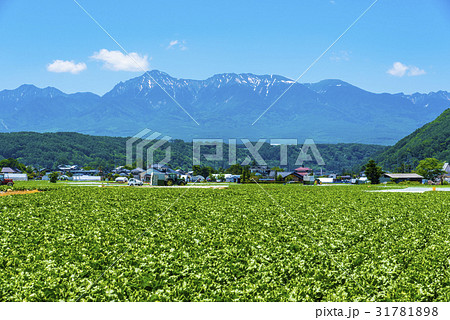 八ヶ岳と野辺山高原野菜 八ヶ岳と野辺山高原野菜 31781898