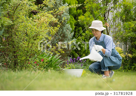 庭で水やりをする女性の写真素材