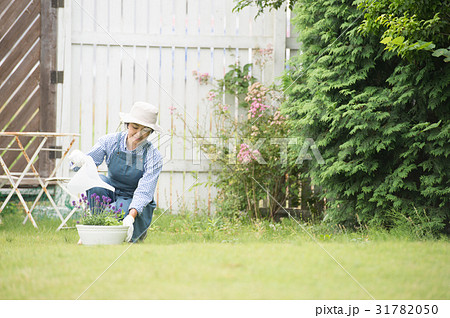 庭で水やりをする女性の写真素材