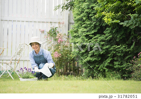 庭で水やりをする女性の写真素材