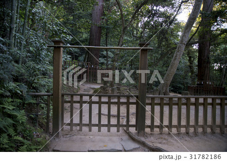 八重垣神社（松江市） 31782186