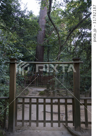 八重垣神社（松江市） 31782187