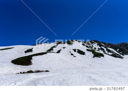 立山 雷鳥沢 立山 雷鳥沢 31782497