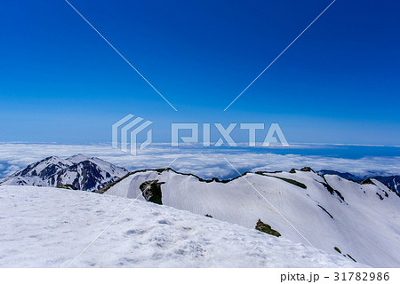 立山 雲海③ 立山 雲海③ 31782986