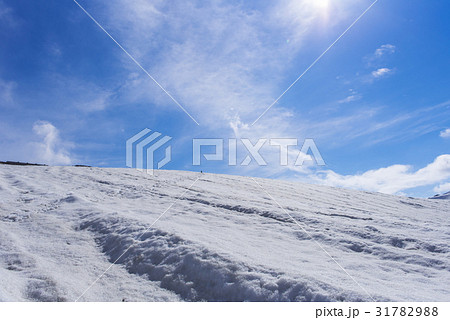 立山　残雪の斜面 31782988