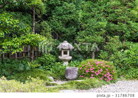 茶室の庭 31786708