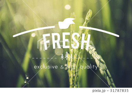 Alternative Farming Sustainable Nature Concept Alternative Farming Sustainable Nature Concept 31787835