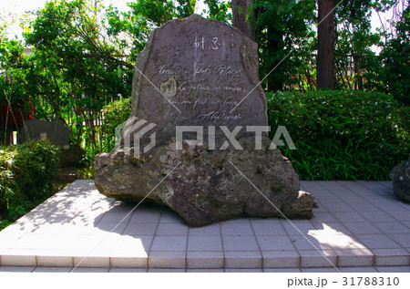 野口英世記念館 野口英世記念館 31788310