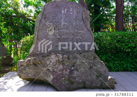 野口英世記念館 31788311