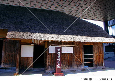 野口英世記念館 31788313